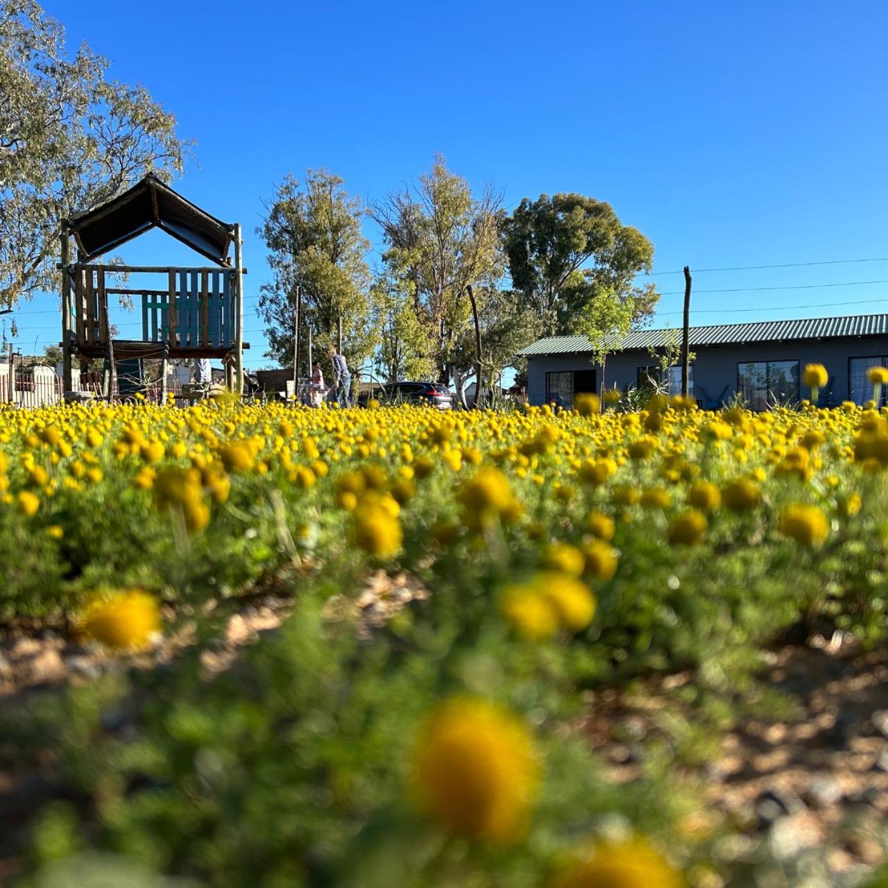 Little Farms Hotel Colesberg Exterior photo